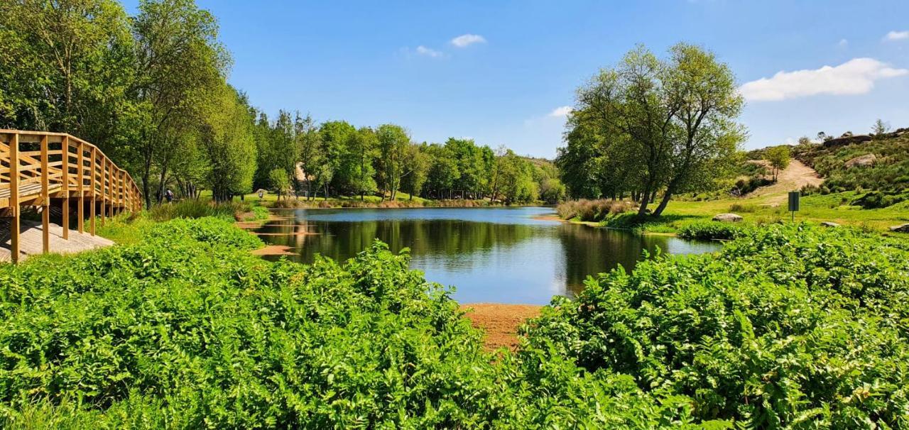 Azevinho Guest House Сейя Экстерьер фото