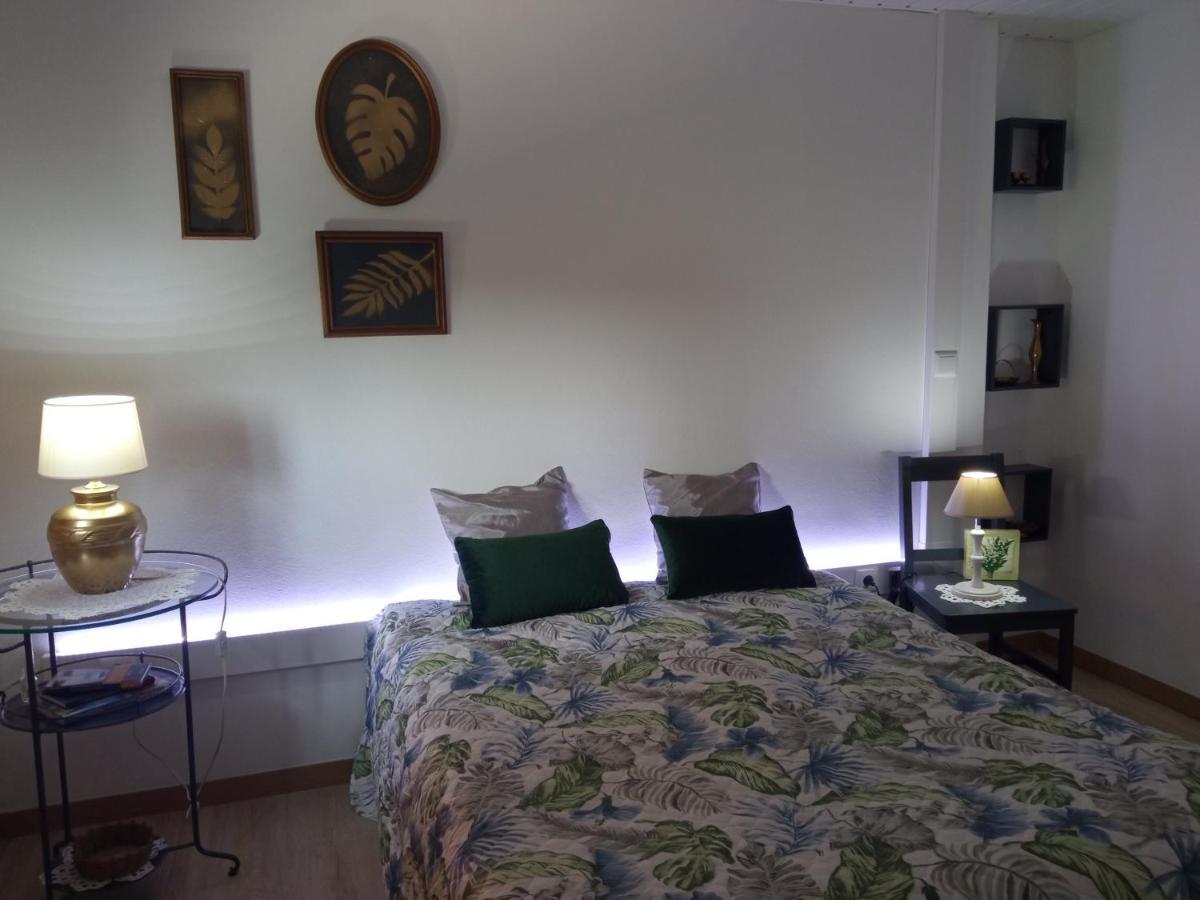 Azevinho Guest House Сейя Экстерьер фото
