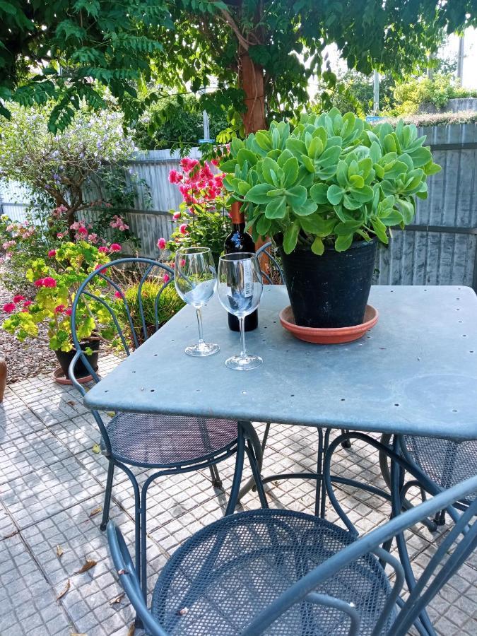 Azevinho Guest House Сейя Экстерьер фото